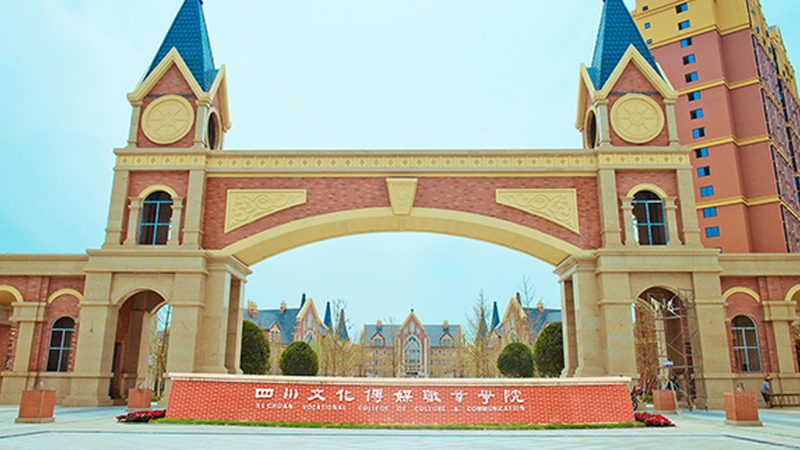 目前市场上的手机版剪辑软件种类繁多，大致可以分为以下几类：