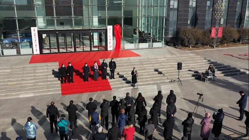 在购买VI设计素材时，需要关注以下标准：